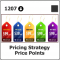 1207 Pricing Strategy & Price Points